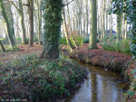 Teesinkbeek